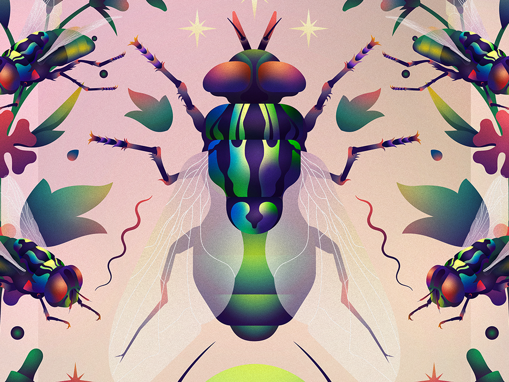 A personal series of illustrations exploring color, form, and visual storytelling.